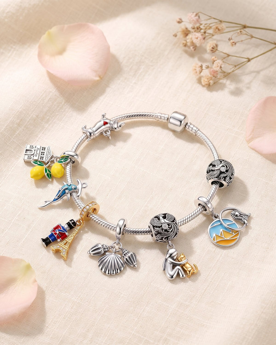 A charm bracelet with 10 sterling silver charms