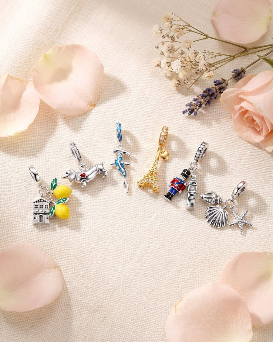 6 sterling silver charms
