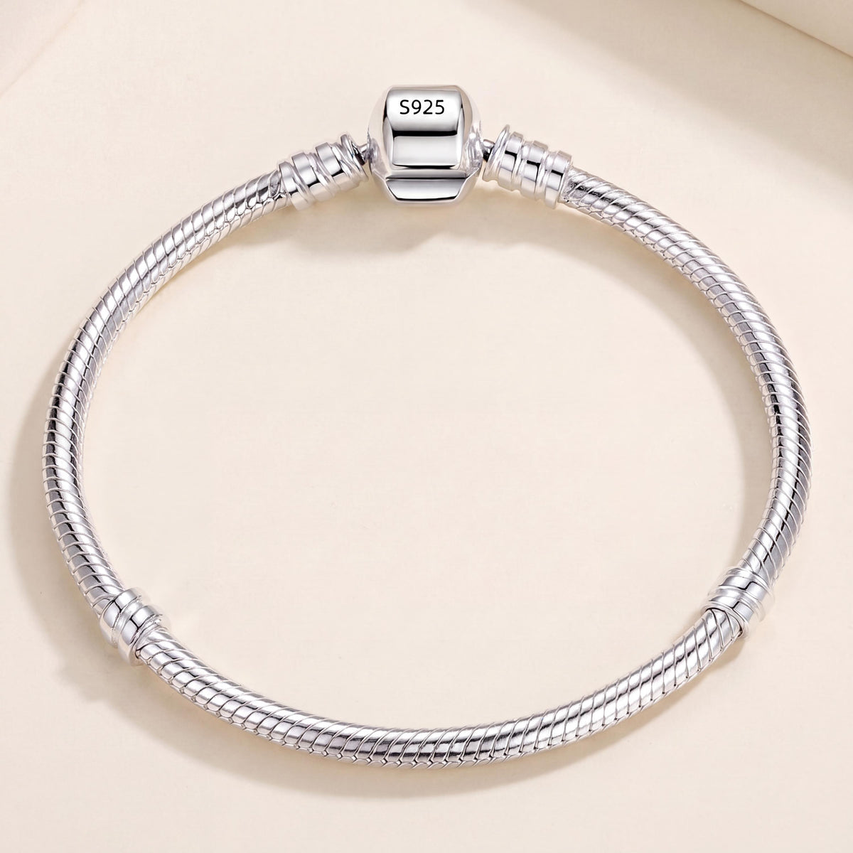 Snake Chain Charm in 925 sterling silver, fits European-style charm bracelets
